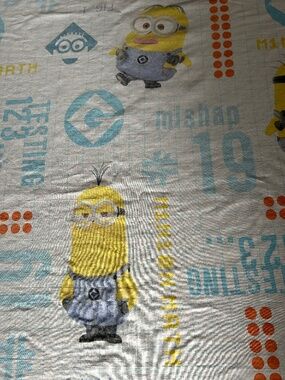 Minions "Testing 1234" Twin Fitted Sheet - Despicable Me